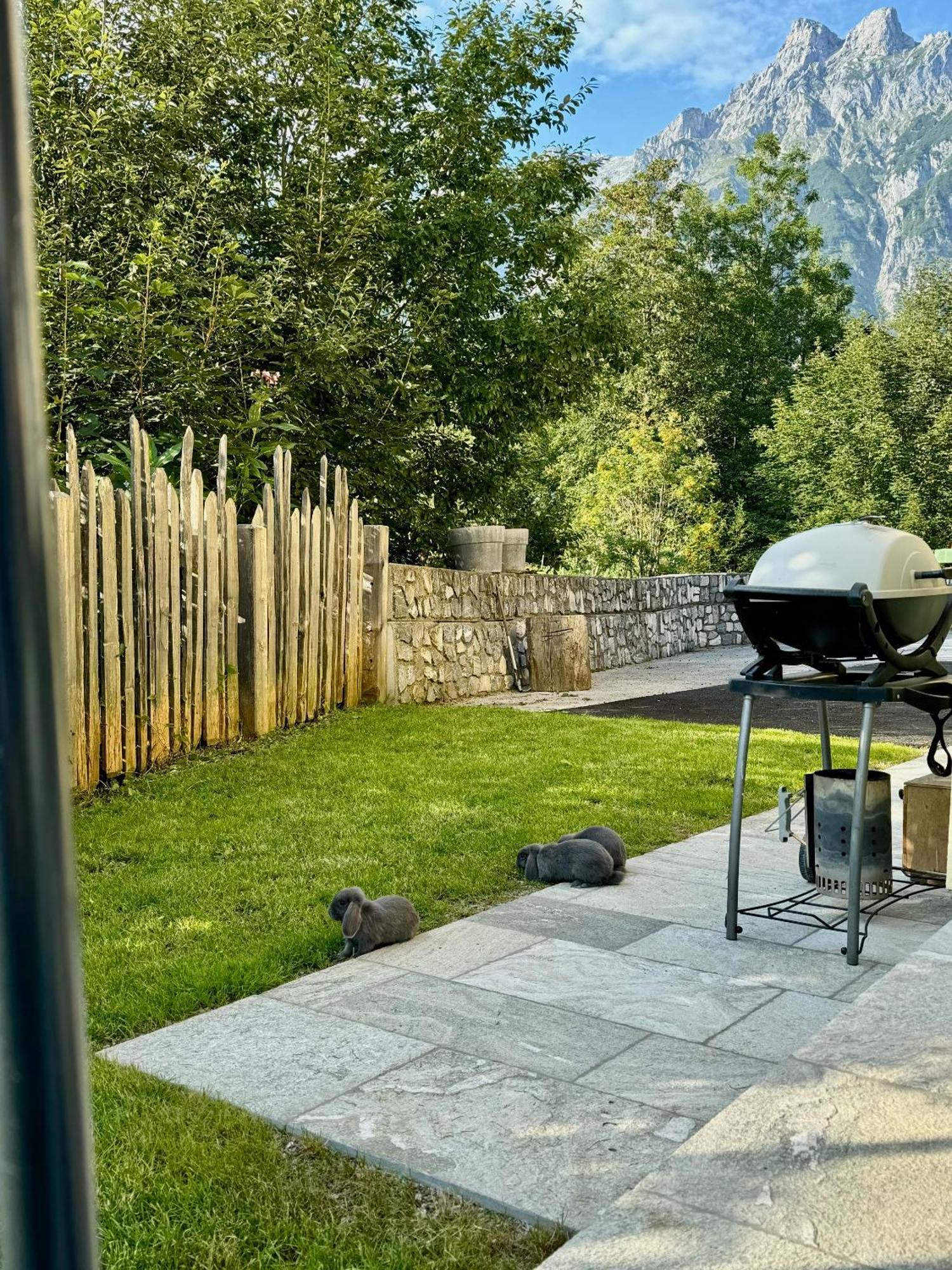 Appartement Hänsel&Gretel Werfenweng Buitenkant foto